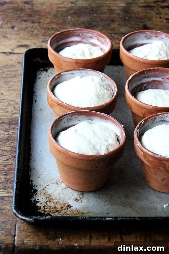 Small portions of peasant bread dough in individual buttered terra cotta flowerpots, lightly risen and ready for baking.
