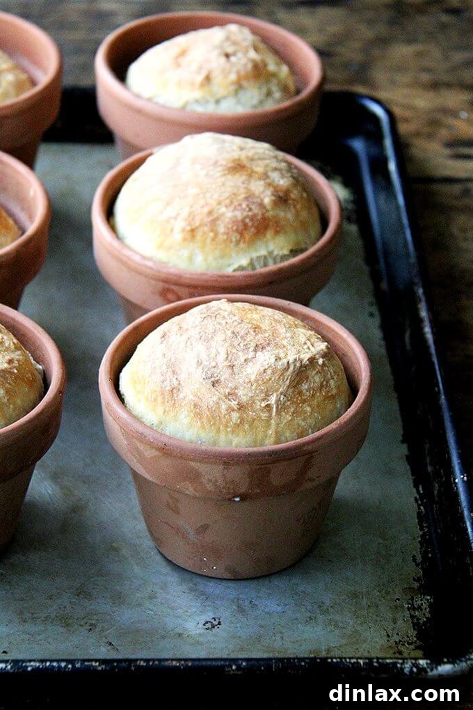 Several flowerpots filled with peasant bread dough, slightly risen and prepared for baking in the oven. // alexandracooks.com