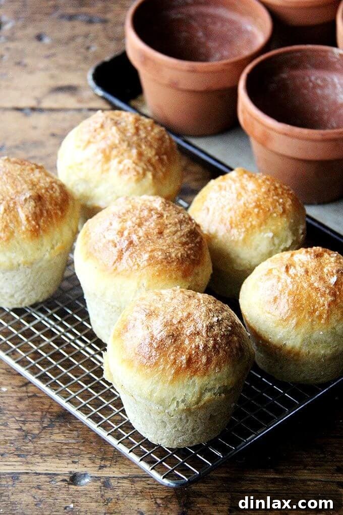 A cluster of freshly baked flowerpot bread loaves, golden brown and still in their terra cotta pots, cooling on a rack.