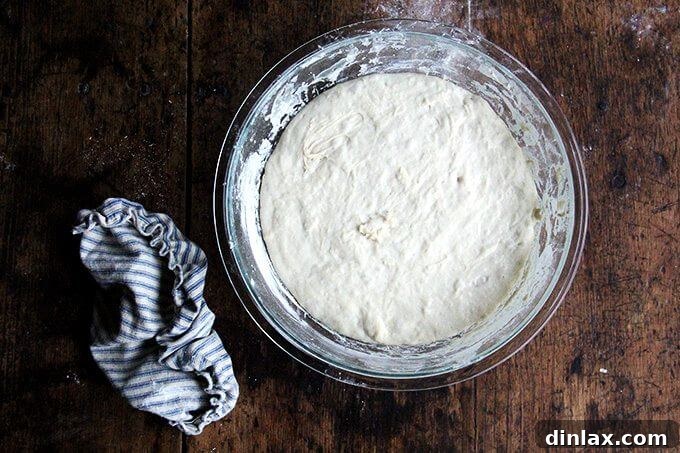 Mastering Skillet Pizza Perfection 7 Overhead shot of risen pizza dough.