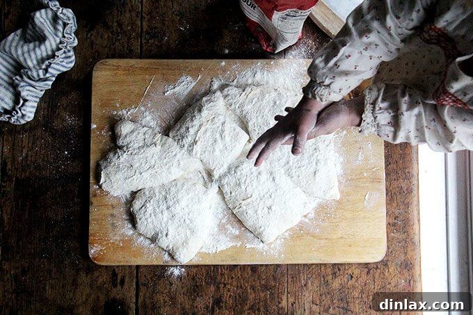 Mastering Skillet Pizza Perfection 9 Pizza dough divided into 6 portions.