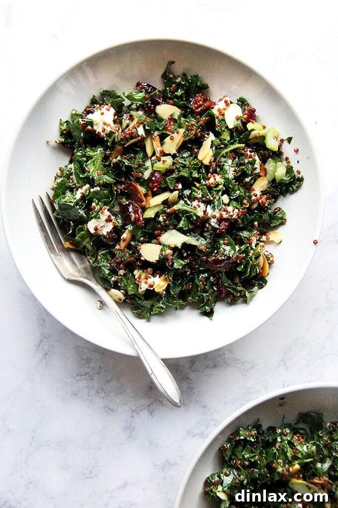 Kale and Quinoa Salad: A Refreshing & Healthy Summer Dish Vibrant Kale and Quinoa Salad with cranberries, celery, almonds, and goat cheese, perfect for a healthy meal.
