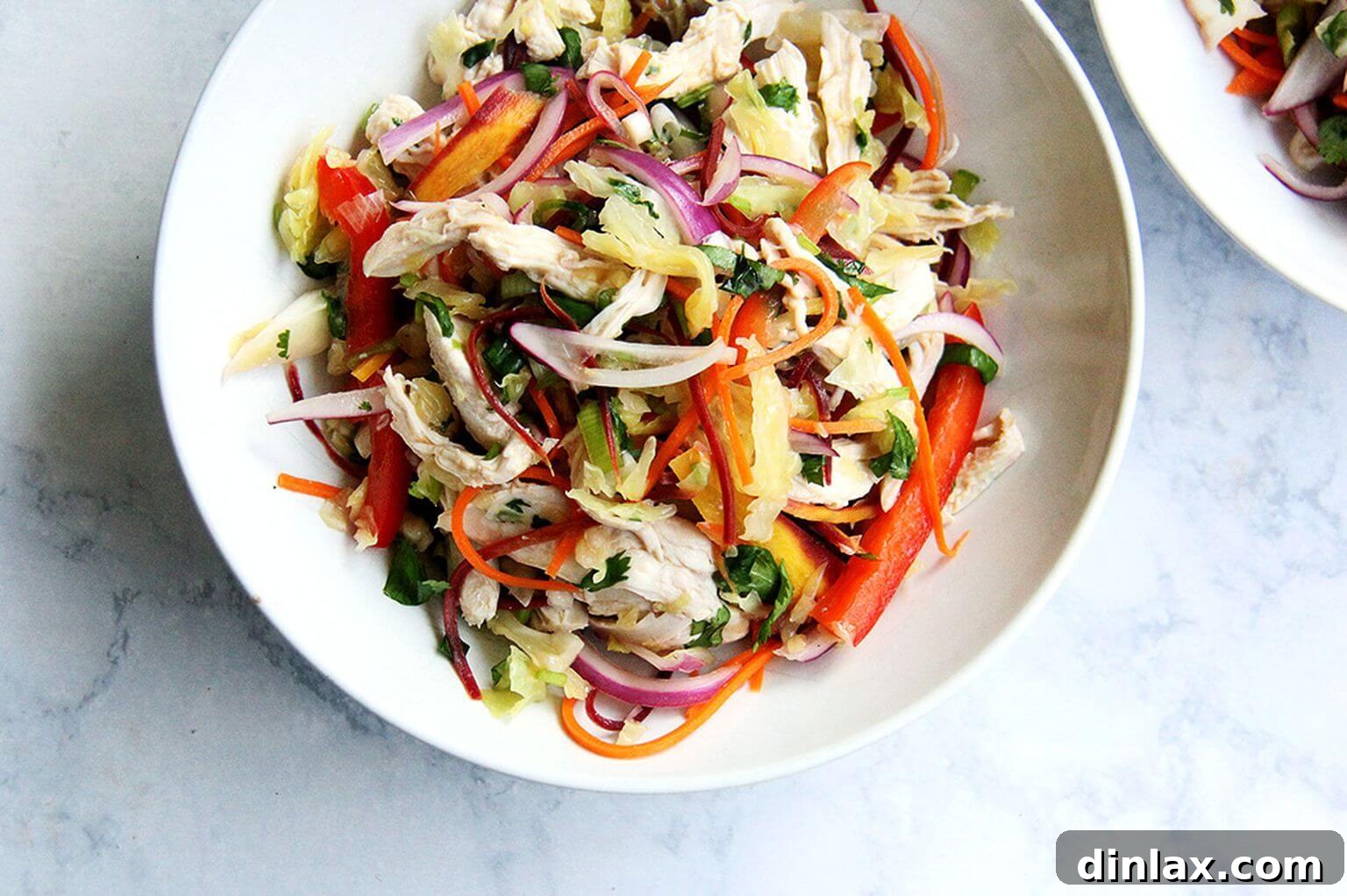 A single serving bowl of Thai chicken and cabbage slaw, ready to be enjoyed.