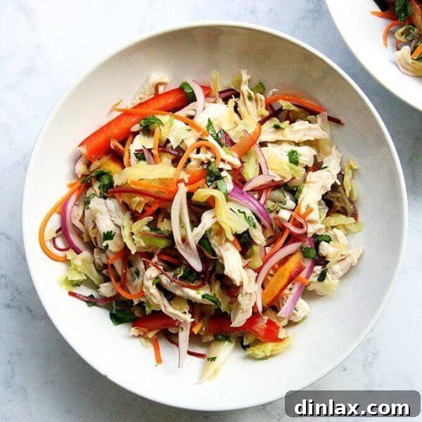 A bowl of chicken and cabbage Thai salad, garnished with fresh cilantro and red chili flakes.