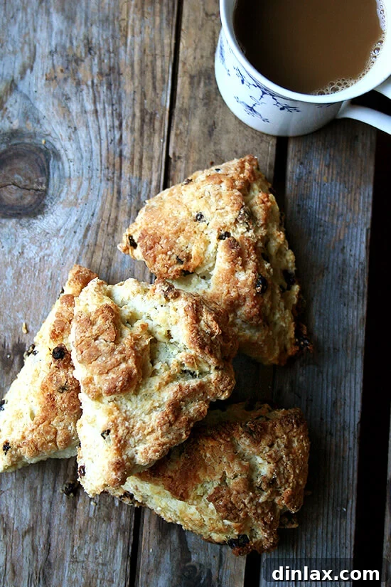 Delicious Buttermilk Currant Scones, a perfect Tartine Bakery inspired treat for a cozy morning