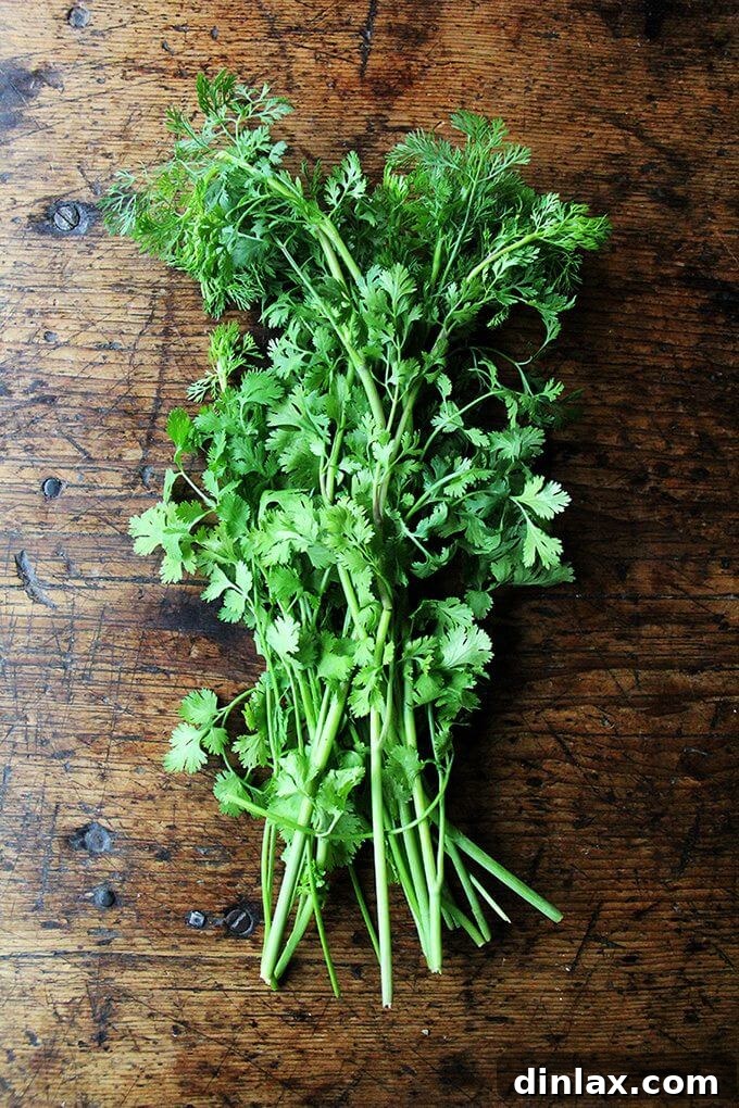 Freshly picked cilantro on a wooden cutting board, highlighting its vibrant green leaves.