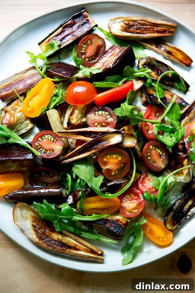 A plate of roasted eggplant salad with tzatziki and tomatoes. 