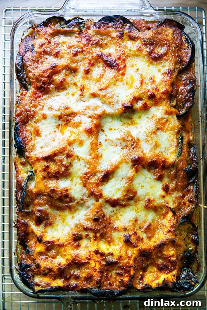 Freshly baked roasted eggplant lasagna, golden and bubbling on a cooling rack.