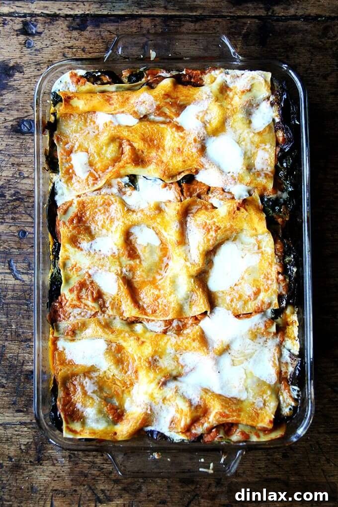 A full pan of just-baked eggplant and Swiss Chard lasagna, ready to be enjoyed.