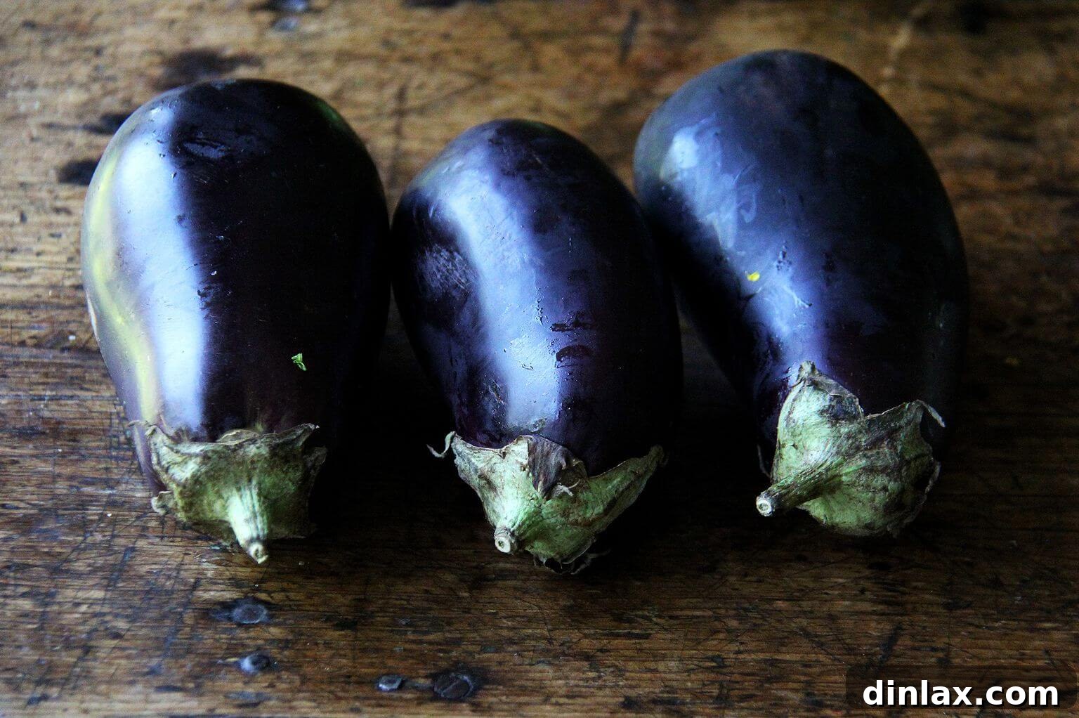 Three perfectly ripe eggplants ready for preparation.