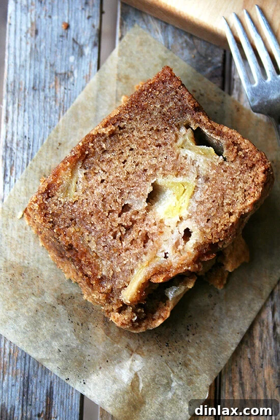 Overhead shot of a slice of Teddie's Apple Cake, showcasing its moist interior, apple chunks, and the delightful crispy crust. Ideal for fall baking and a perfect pairing with coffee or ice cream.