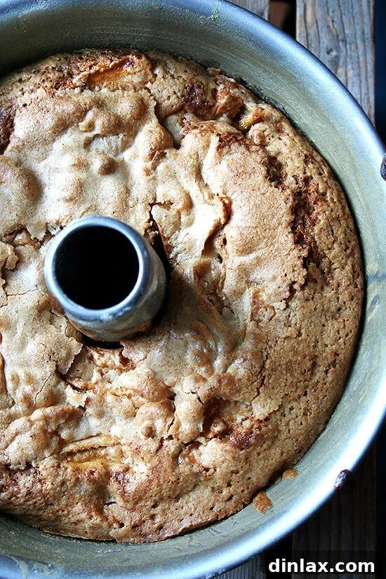 Teddie's apple cake, freshly baked, still in tube pan. A beautifully golden-brown apple cake, still in its tube pan, promises a delicious and moist treat perfect for any occasion.