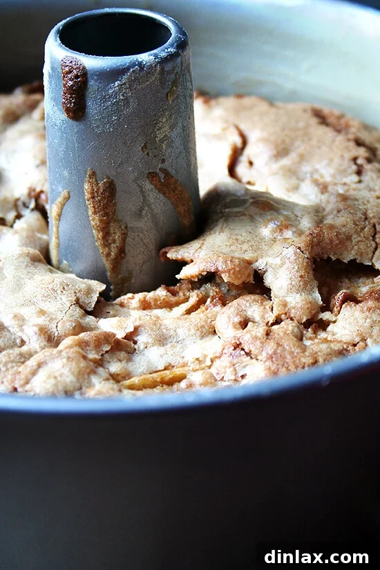 Teddie's apple cake in tube pan. The golden perfection of Teddie's Apple Cake, freshly baked in a tube pan, ready to be cooled and enjoyed.