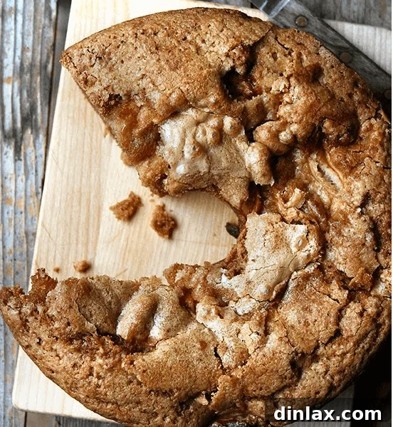 A slice of Teddie's Apple Cake, showcasing its moist texture and golden crust. A classic fall recipe, perfect for breakfast or dessert, known for its exceptional moisture and flavor that improves over time.