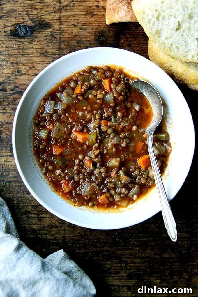 A heartwarming bowl of vegan, one-pot lentil soup, garnished with fresh herbs, ready to be enjoyed.
