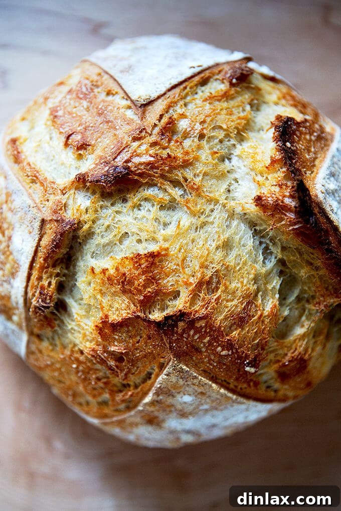 Mastering Sourdough: A Step-by-Step Homemade Journey 2 A just-baked sourdough boule with a golden, crisp crust.