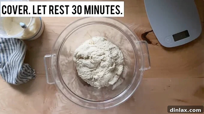 Mastering Sourdough: A Step-by-Step Homemade Journey 11 A straight sided vessel holding sourdough bread dough.