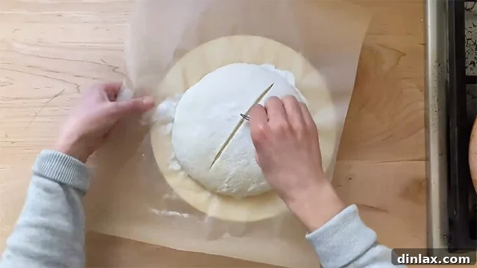 Mastering Sourdough: A Step-by-Step Homemade Journey 14 Scoring a loaf of sourdough bread.