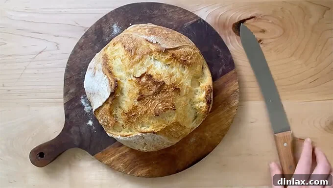 Mastering Sourdough: A Step-by-Step Homemade Journey 16 A baked loaf of sourdough bread cooling on a cutting board.