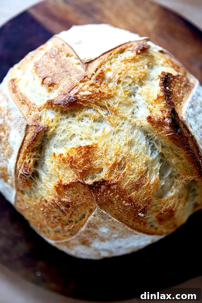 Mastering Sourdough: A Step-by-Step Homemade Journey 20 A beautiful, freshly baked sourdough boule with a dark, crusty exterior.