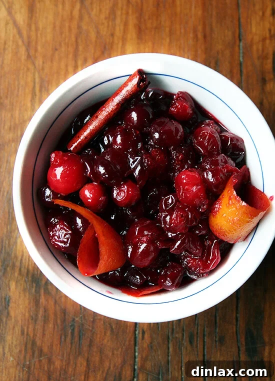 A touch more sophisticated than the traditional Thanksgiving condiment, this cranberry sauce, made with red wine, orange zest and cinnamon sticks, is simple to prepare. // alexandracooks.com An overhead shot of a bowl holding homemade red wine cranberry sauce with orange zest and cinnamon.