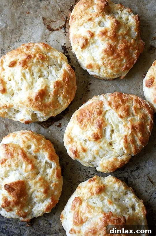 Buttermilk Cheddar Biscuits, a savory and cheesy bread perfect for holiday meals.