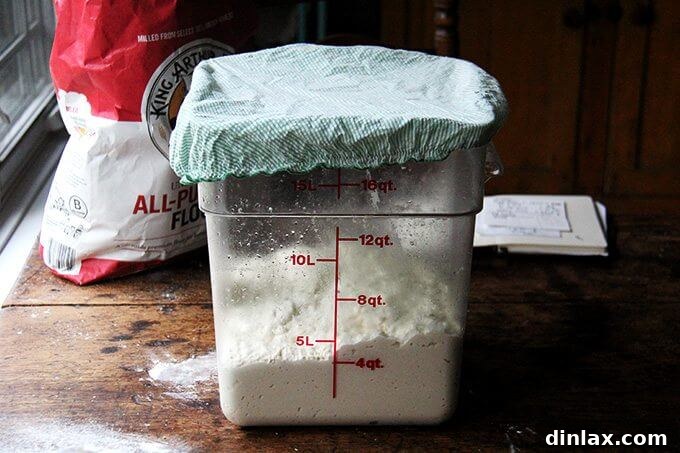 Dividing the dough into two equal portions using forks, preparing for transfer to baking bowls.
