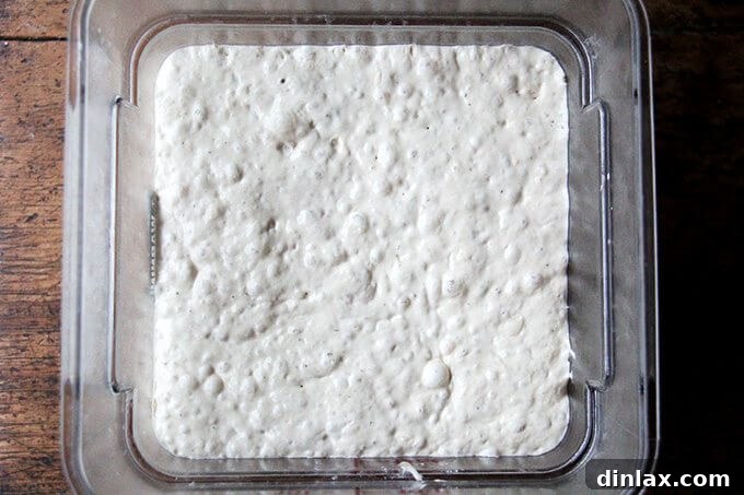 Dough rising in the baking bowls, just crowning over the rims, indicating it's ready for the oven.