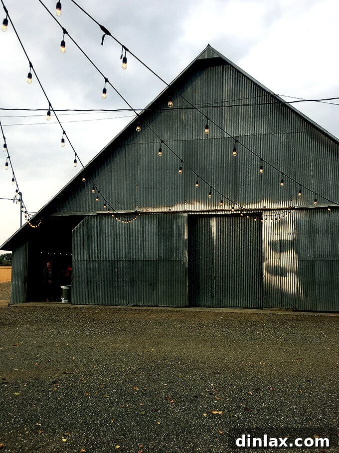 California Olive Ranch The 2017 Olive Harvest 9 Another view of the large olive oil storage tanks within the processing facility.