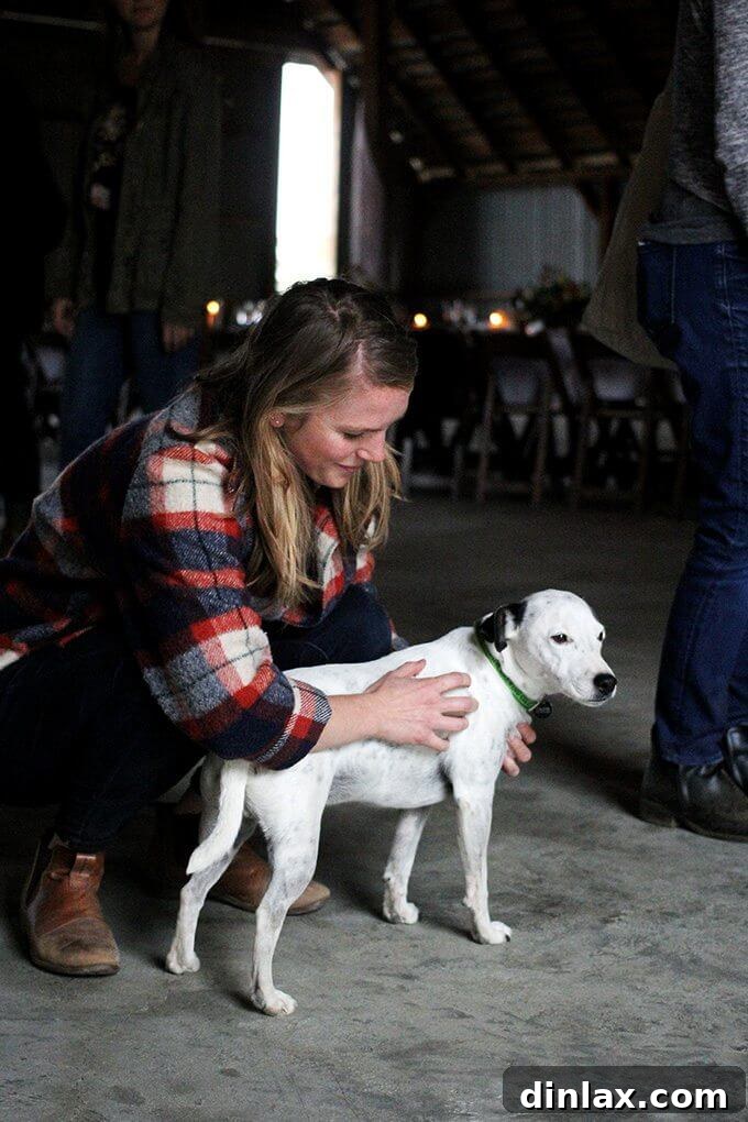 California Olive Ranch The 2017 Olive Harvest 15 A picturesque view of the California countryside, possibly near the olive groves.