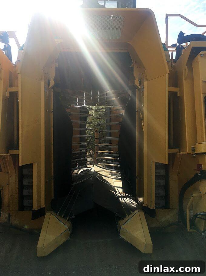 California Olive Ranch The 2017 Olive Harvest 6 A close-up shot of an olive harvester, showcasing its intricate machinery used to gently remove olives from trees.