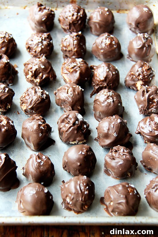 A sheet pan generously filled with perfectly round chocolate-covered peanut butter balls, invitingly ready to be enjoyed.