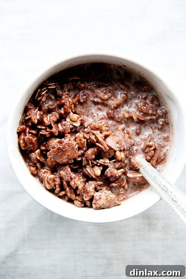A close-up view of homemade cocoa crunch, highlighting its rich chocolate coating and irresistible crispy texture.