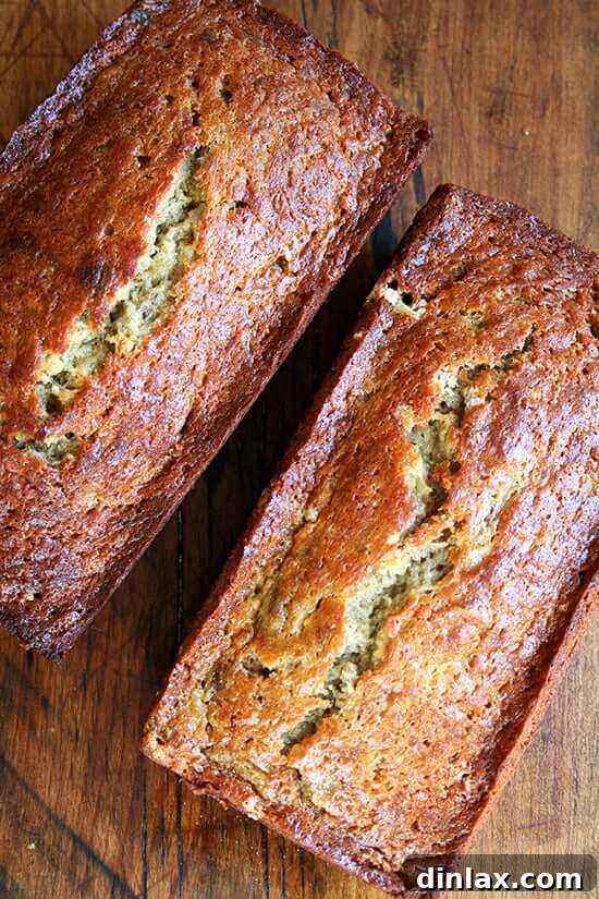 An inviting overhead shot of a freshly baked loaf of golden-brown banana bread, appearing deliciously moist and comforting.