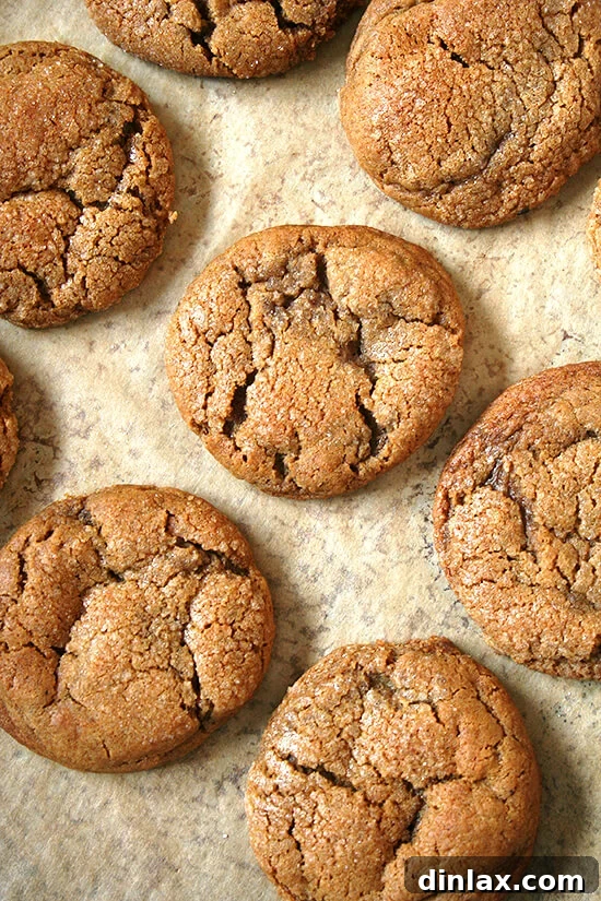 Warm, spiced molasses crinkle cookies cooling on a sheet pan, showcasing their characteristic cracked, sugared tops.