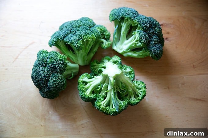 Ina Garten's Crispy Lemon Garlic Parmesan Roasted Broccoli 2 Four small, vibrant green heads of fresh broccoli, ready for preparation.
