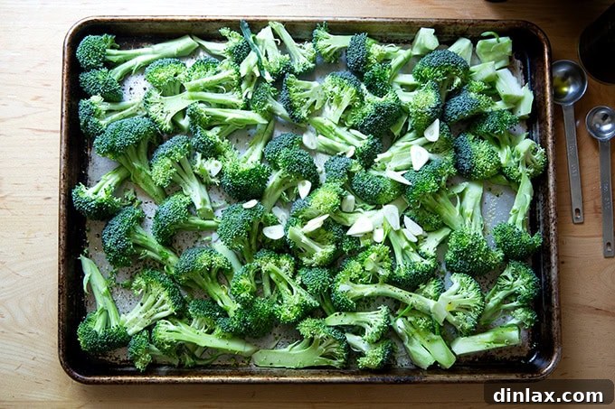 Ina Garten's Crispy Lemon Garlic Parmesan Roasted Broccoli 5 A sheet pan showcasing vibrant broccoli florets, adorned with thinly sliced garlic, drizzled with lustrous olive oil, and perfectly seasoned with salt and pepper, poised for roasting.