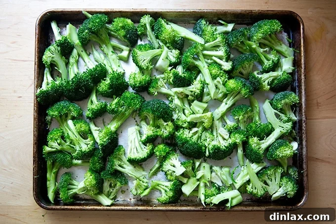 Ina Garten's Crispy Lemon Garlic Parmesan Roasted Broccoli 6 A sheet pan filled with vibrant broccoli florets, uniformly tossed with aromatic sliced garlic, glistening extra-virgin olive oil, and a balanced seasoning of salt and pepper, preparing for perfect roasting.