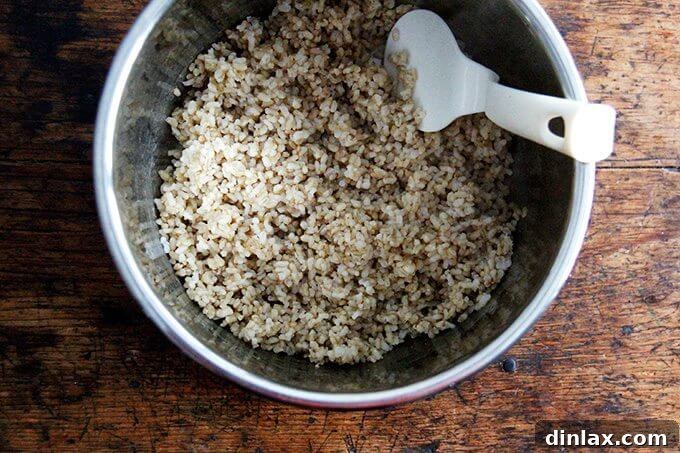 Your Ultimate Instant Pot Brown Rice: Perfect and Flavorful 8 An uncovered Instant Pot filled with perfectly cooked Instant Pot brown rice and a plastic spoon, ready for seasoning.