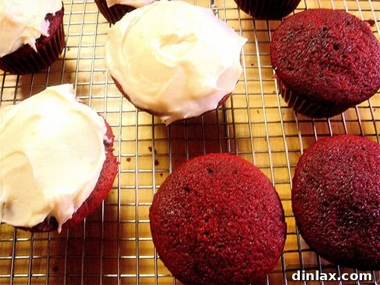 Perfectly frosted Red Velvet Cupcake ready to be served