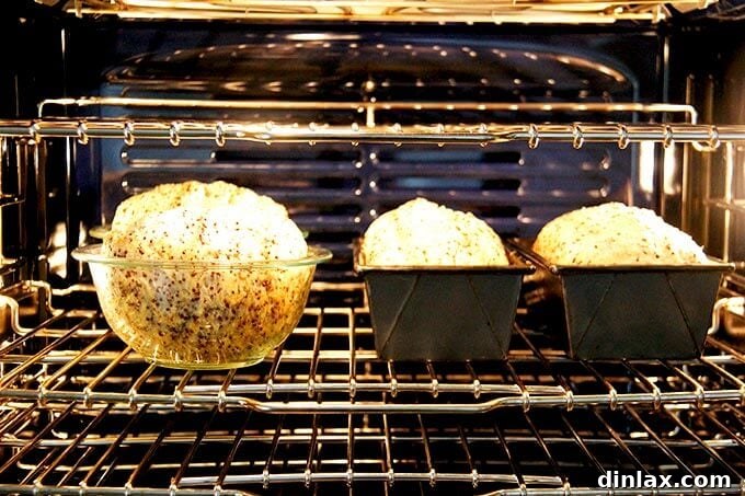 Golden Quinoa Flax Toast 14 Quinoa-flax bread baking to a golden crisp in the oven.