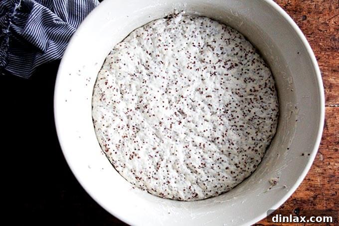 Golden Quinoa Flax Toast 5 A bowl of quinoa-flax dough that has significantly risen, indicating successful fermentation.