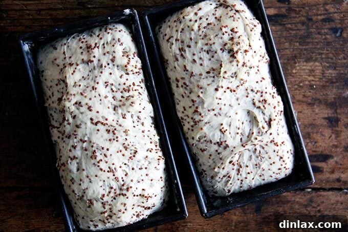 Golden Quinoa Flax Toast 8 Quinoa-flax dough risen beautifully in loaf pans, crowning over the rims.