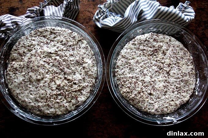 Golden Quinoa Flax Toast 10 Quinoa-flax dough rising overnight in both loaf pans and Pyrex bowls.