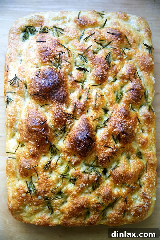 Freshly baked rosemary focaccia, golden brown and glistening with olive oil.