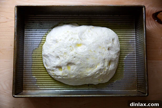Focaccia dough perfectly settled in a 9x13-inch baking pan, ready for its second rise.