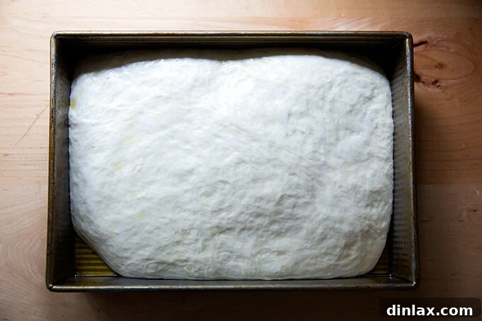 Fully risen focaccia dough in a 9x13-inch pan, covered with bubbles, indicating readiness for dimpling.