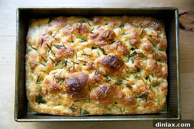 Freshly baked rosemary focaccia still in its pan, showcasing its golden crust and inviting aroma.