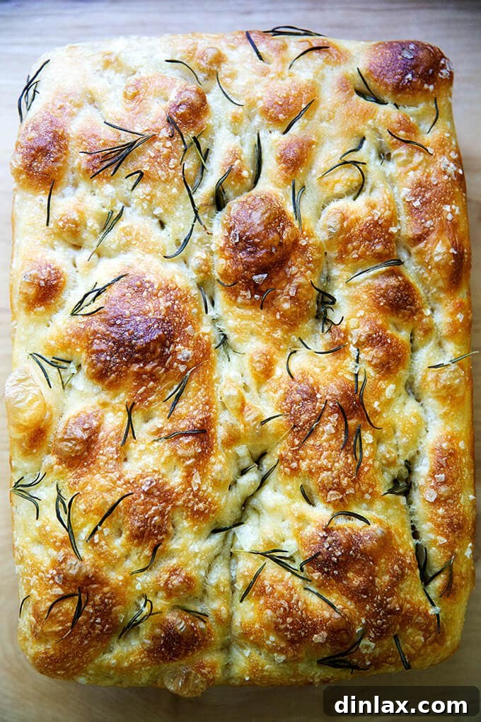 A freshly baked loaf of rosemary focaccia, golden and inviting.