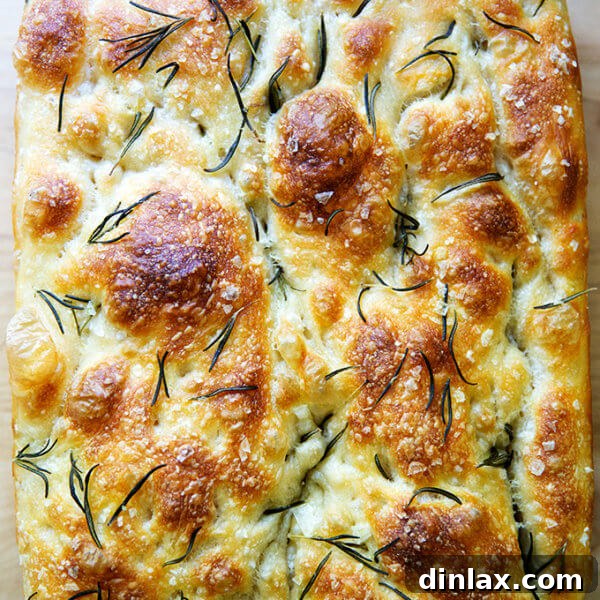 Just-baked rosemary focaccia, golden brown and glistening with olive oil.
